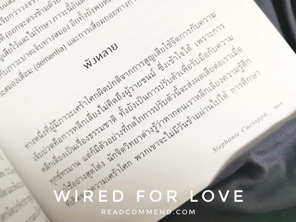 บันทึกรักจากสมองถึงหัวใจ ฉบับนักประสาทวิทยาศาสตร์ รีวิว Wired for love